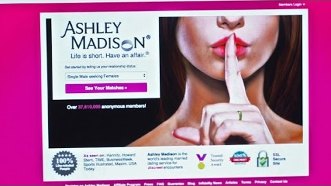 Ashley Madison survival guide: A divorce lawyer's ad...
