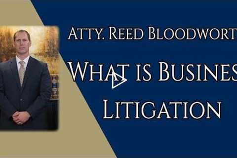 What is Business Litigation?