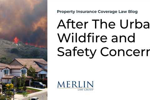 After The Urban Wildfire and Safety Concerns