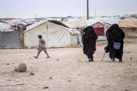 UN expert decries the practice of taking boys from their mothers at detention camps in Syria