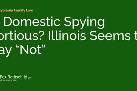 Is Domestic Spying Tortious? Illinois Seems to Say “Not”