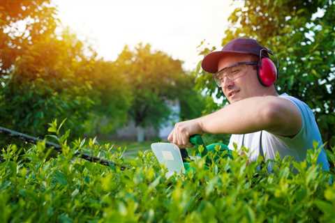 ENHANCING CURB APPEAL WITH TREE TRIMMING