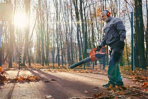 UNDERSTANDING THE DIFFERENT TYPES OF TREE PRUNING TOOLS