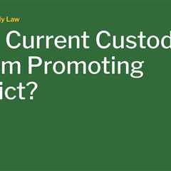 Is the Current Custody System Promoting Conflict?