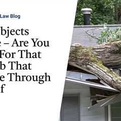Falling Objects Coverage – Are You Covered For That Tree Limb That Just Came Through Your Roof?
