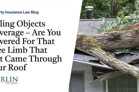 Falling Objects Coverage – Are You Covered For That Tree Limb That Just Came Through Your Roof?