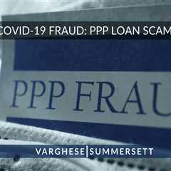 PPP Fraud Investigations