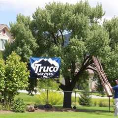 Tree Service Sandy UT 84092 Truco Services Inc