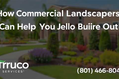 How Commercial Landscapers Can Help Your Business Stand Out — Truco Services (801) 466–8044