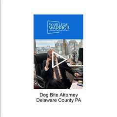 Dog bite attorney Delaware County, PA - Your Legal Warrior