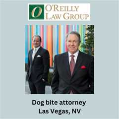 Dog bite attorney Las Vegas, NV