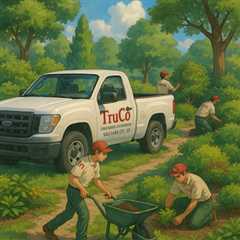 Salt Lake City Utah Landscaping