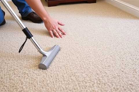 Carpet Cleaners Plus Chicago Reviews