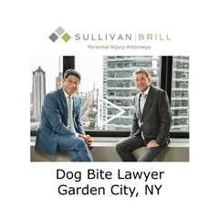 Dog Bite Lawyer Garden City NY - Sullivan Brill Personal Injury Attorneys