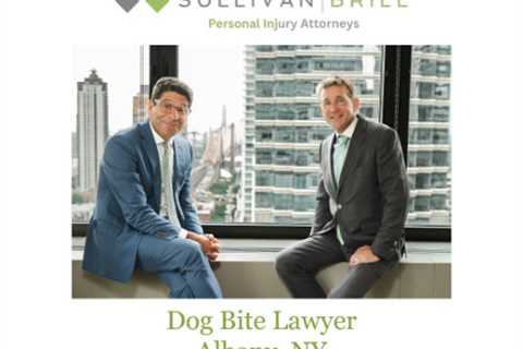 Dog Bite Lawyer Albany, NY