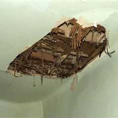 What Home Buyers Should Know About the Seller’s Disclosure Act - Harry Steven Ellman