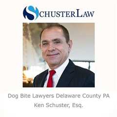 Dog Bite Lawyers Delaware County PA - Schuster Law's Podcast