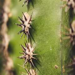 New blog eleanorc951cbz5.blogsvirals.com