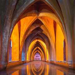 New blog alfredc183ihf8.onzeblog.com