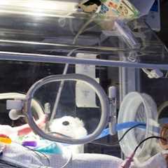 Birth injury lawsuits Baltimore, MD · Thursday, Nov 13 📸