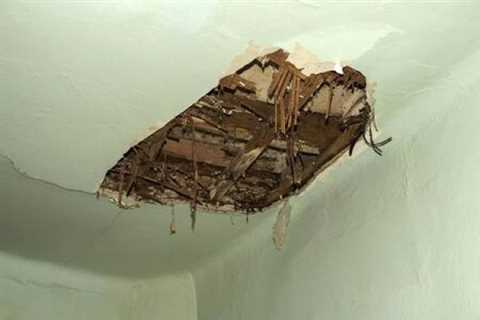 What Home Buyers Should Know About the Seller’s Disclosure Act - Harry Steven Ellman