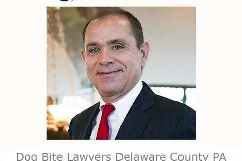 Dog Bite Lawyers Delaware County PA - Schuster Law's Podcast