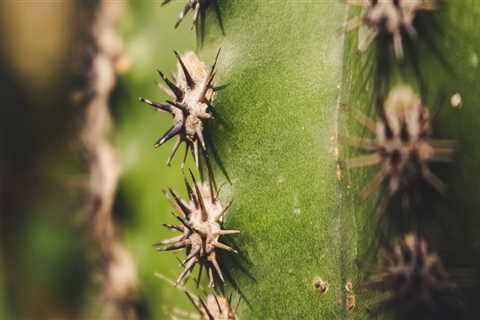 New blog eleanorc951cbz5.blogsvirals.com