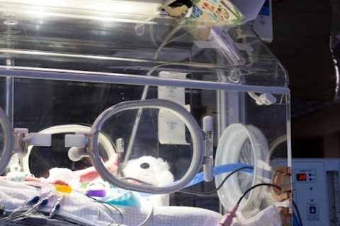 Birth injury lawsuits Baltimore, MD · Thursday, Nov 13 📸