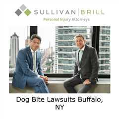 Dog Bite Lawsuits Buffalo, NY
