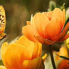 New blog muhammade950bzx5.blogaritma.com