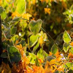 New blog nicholasi295nmm1.win-blog.com