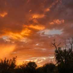 5 Essential Elements For Salt Lake City Estate Planning Lawyers