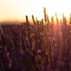 New blog ralphl431oxg1.mybuzzblog.com