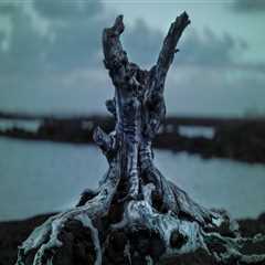 New blog wardm901tjw9.blogs100.com