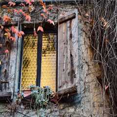 New blog deborahg443wlz9.vidublog.com