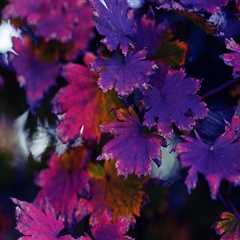 New blog harryd310jsz8.madmouseblog.com