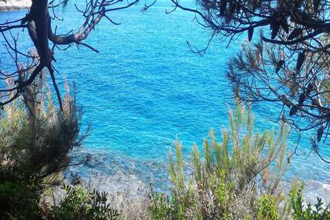 New blog pabloe062ffc7.boyblogguide.com