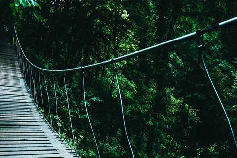 New blog vonm294mlk9.bloggazza.com