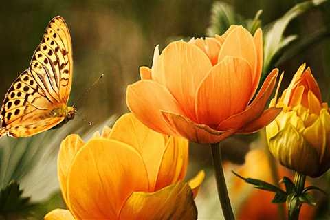 New blog muhammade950bzx5.blogaritma.com