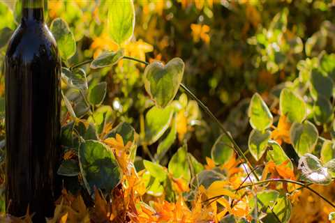 New blog nicholasi295nmm1.win-blog.com