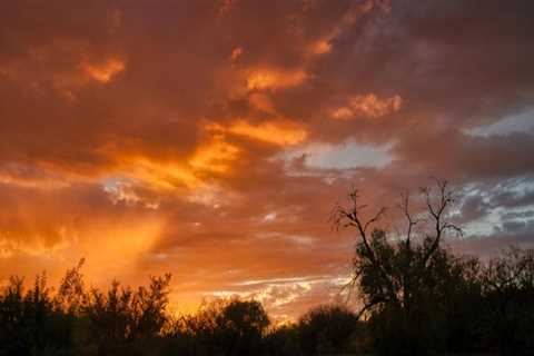 5 Essential Elements For Salt Lake City Estate Planning Lawyers