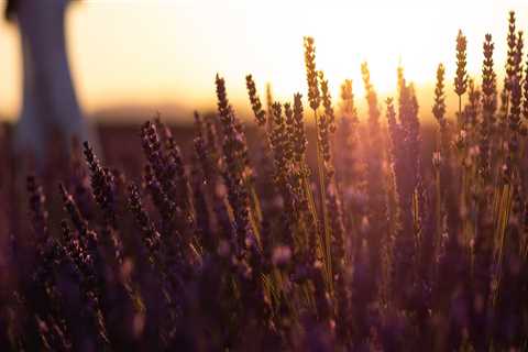 New blog ralphl431oxg1.mybuzzblog.com