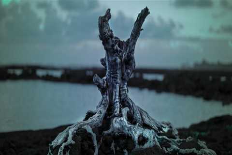 New blog wardm901tjw9.blogs100.com