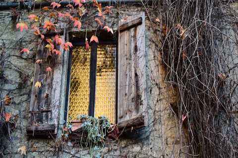 New blog deborahg443wlz9.vidublog.com