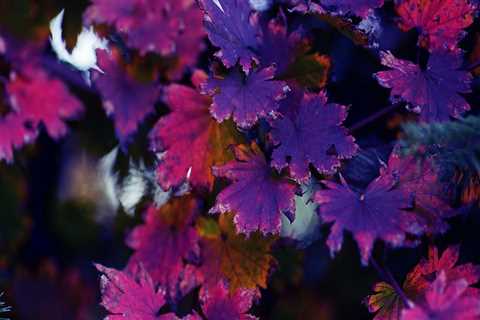 New blog harryd310jsz8.madmouseblog.com