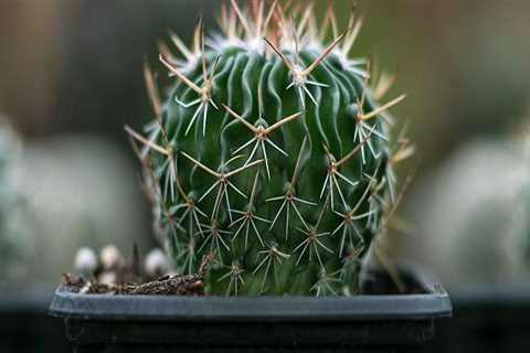 New blog fredx221rfs7.blogsvirals.com