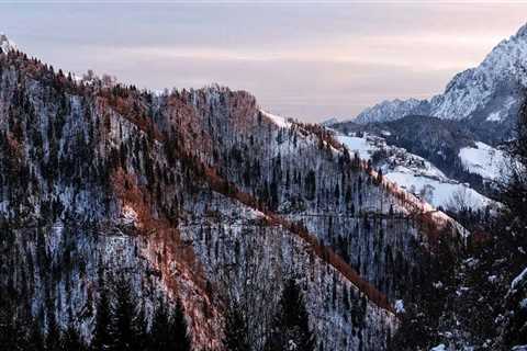 New blog eugenes641hlp3.blazingblog.com