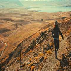 Indicators on Wills Lawyer Salt Lake You Should Know