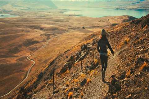 Indicators on Wills Lawyer Salt Lake You Should Know
