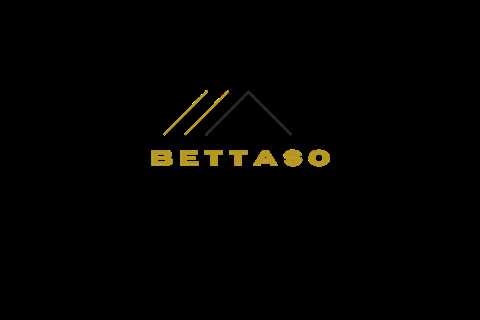 User: terra lombard  - Bettaso u2013 Smart Business Software Solutions